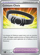176/193 - Ceinture Choix