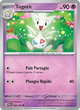 084/197 - Togetic