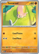 118/197 - Terracool