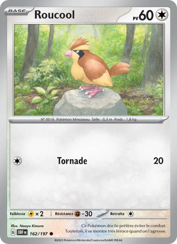 Roucool — Carte Pokémon 162 Flammes Obsidiennes