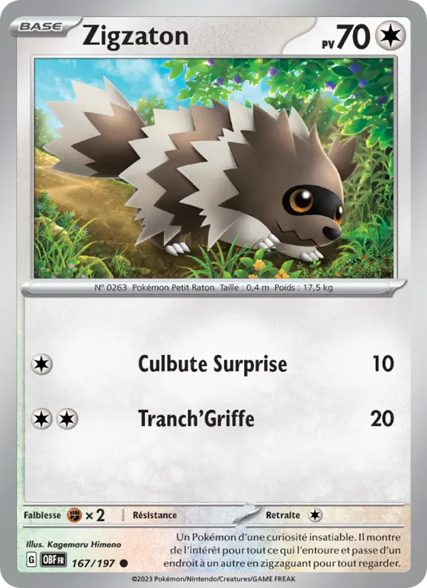167/197 - Zigzaton