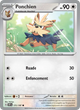 171/197 - Ponchien