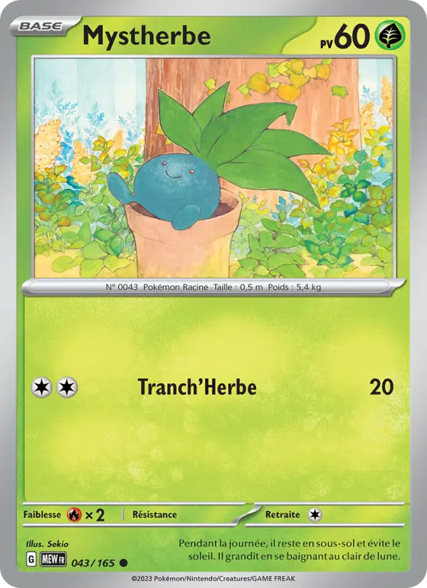043/165 - Mystherbe