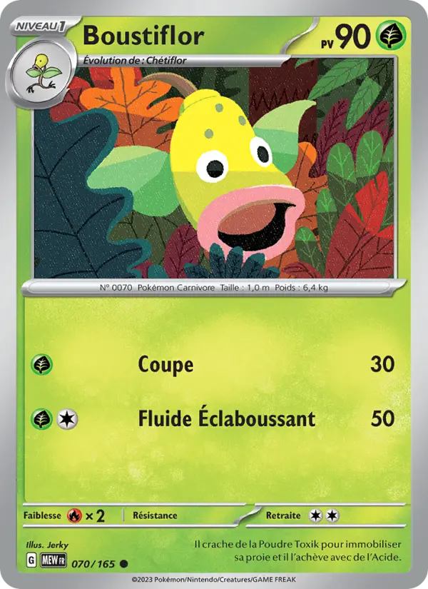 070/165 - Boustiflor