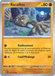 074/165 - Racaillou