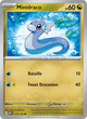 147/165 - Minidraco