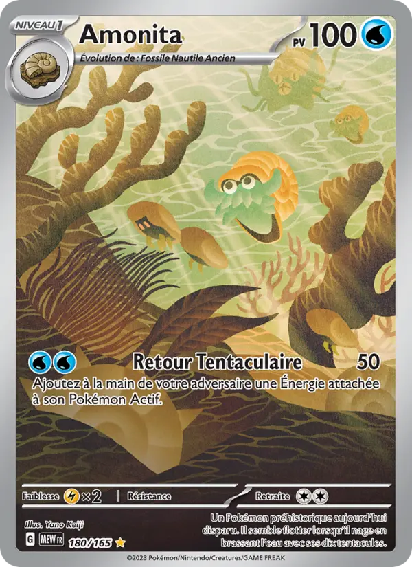 180/165 - Amonita