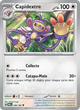 146/182 - Capidextre