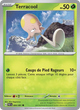 004/091 - Terracool