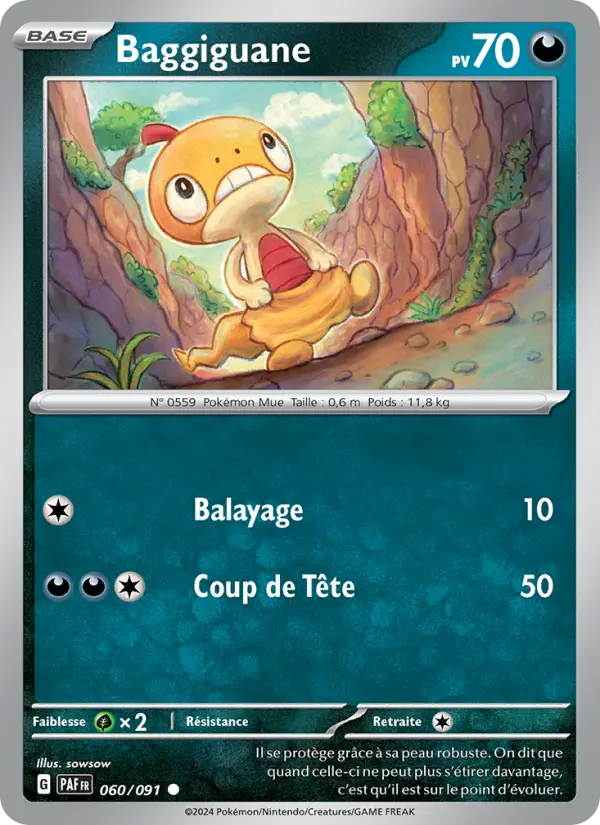 060/091 - Baggiguane