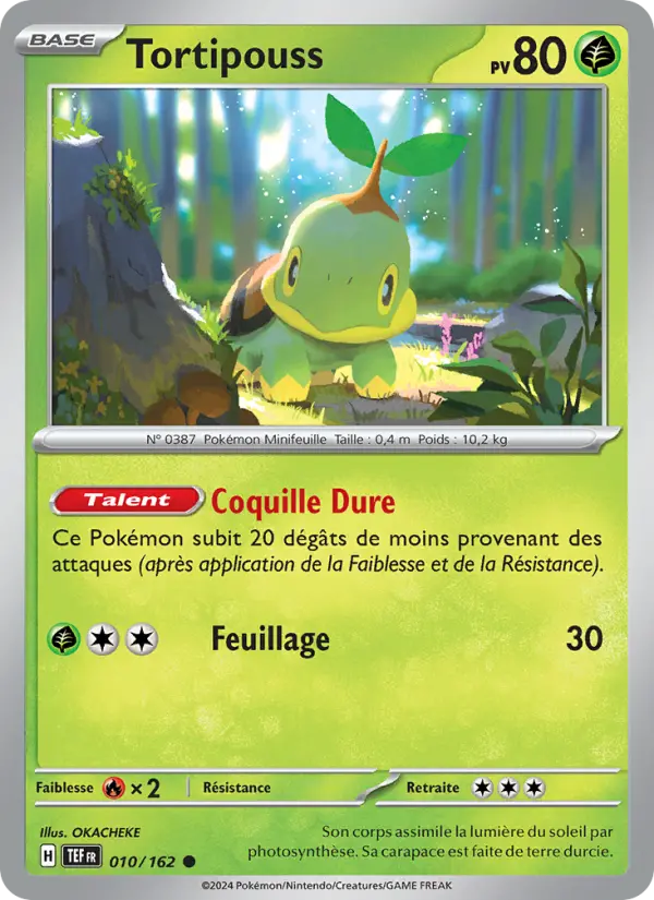 Tortipouss — Carte Pokémon 010 Forces Temporelles