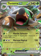 012/162 - Torterra EX