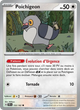 133/162 - Poichigeon