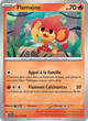021/142 - Flamajou