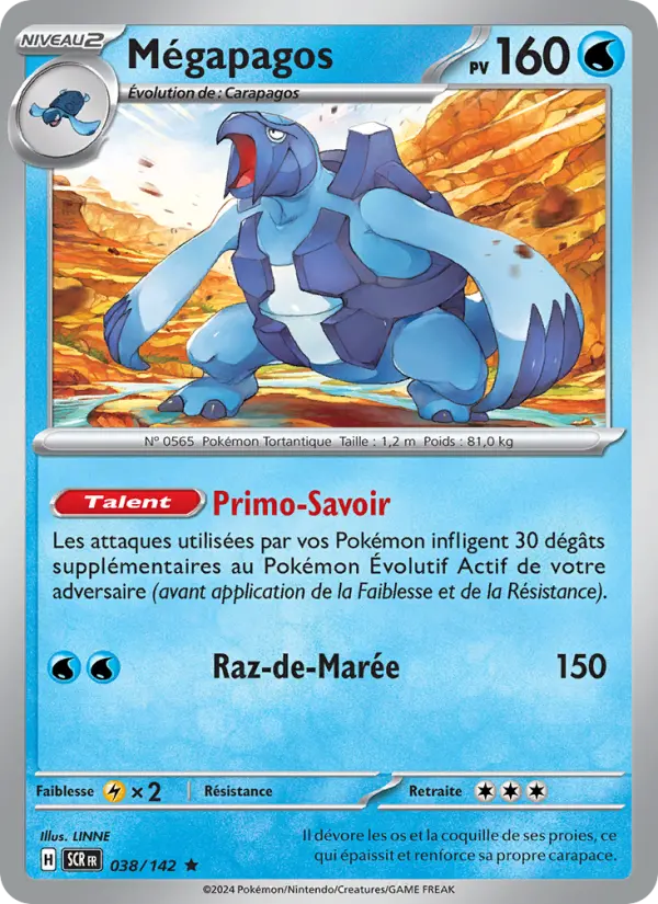 038/142 - Mégapagos