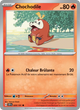 029/191 - Chochodile