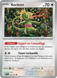 150/191 - Kecleon