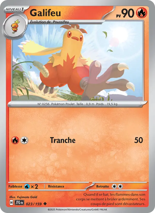 023/159 - Galifeu