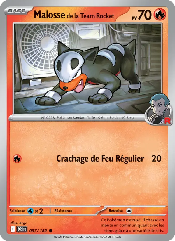 037/182 - Malosse de la Team Rocket