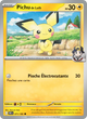071/182 - Pichu de Luth