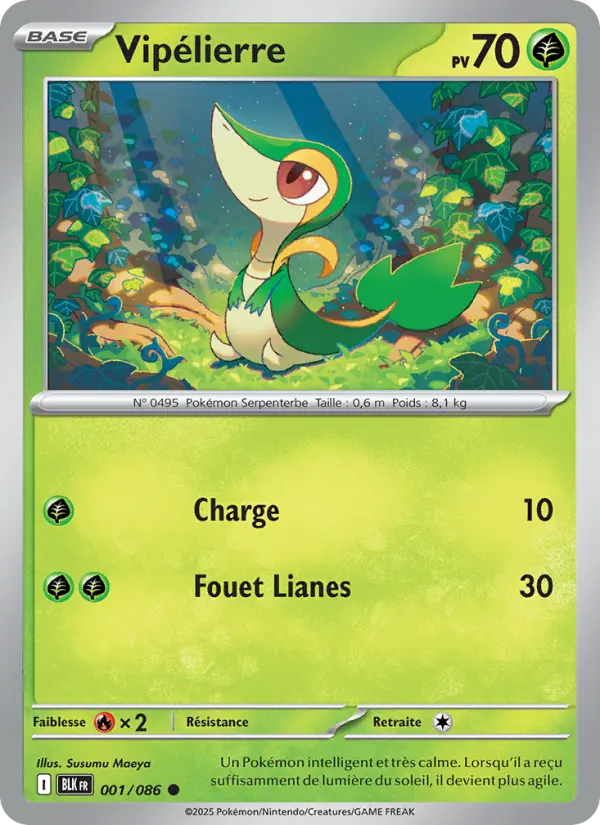 Vipélierre — Carte Pokémon 001 Foudre Noire