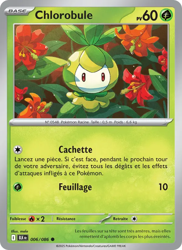 006/086 - Chlorobule