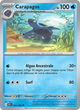 022/086 - Carapagos