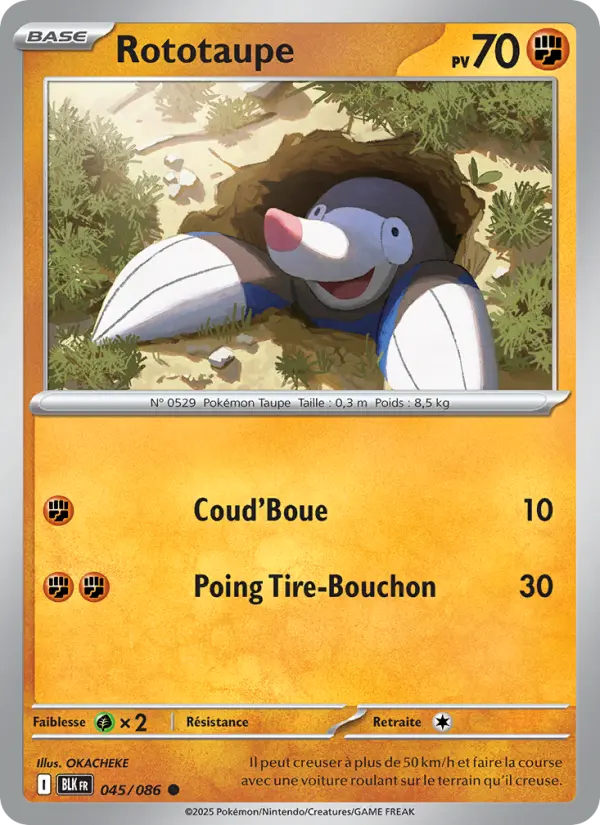 045/086 - Rototaupe