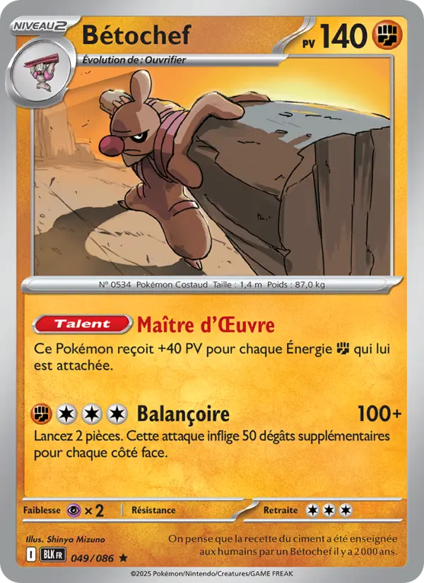 049/086 - Bétochef