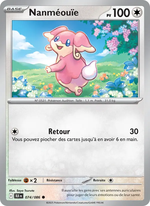074/086 - Nanméouïe