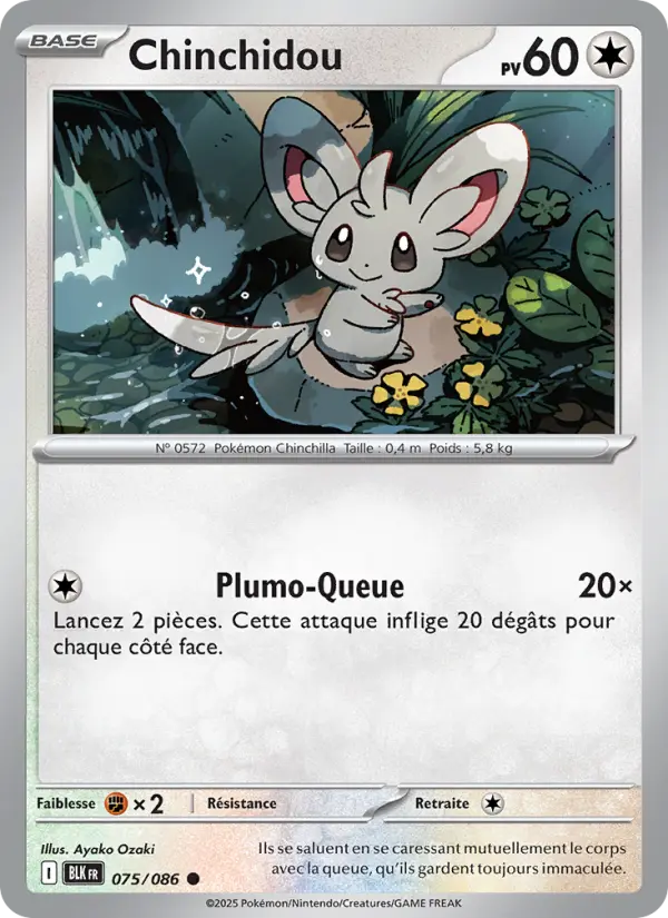 Chinchidou — Carte Pokémon 075 Foudre Noire