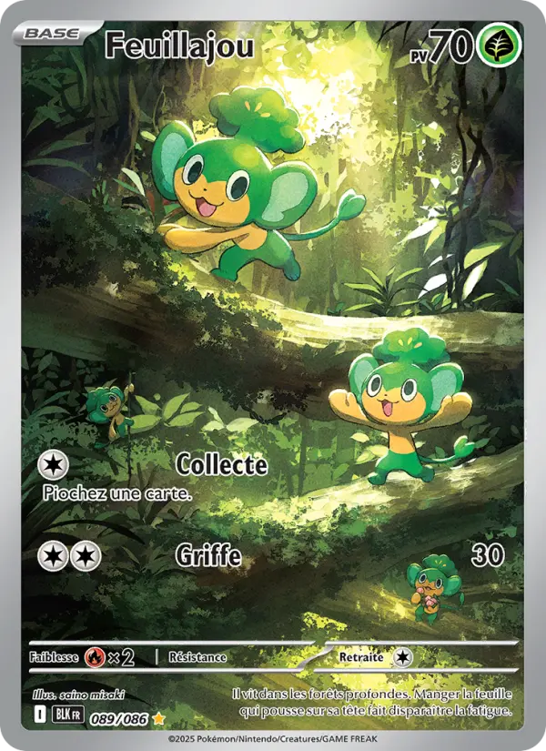089/086 - Feuillajou