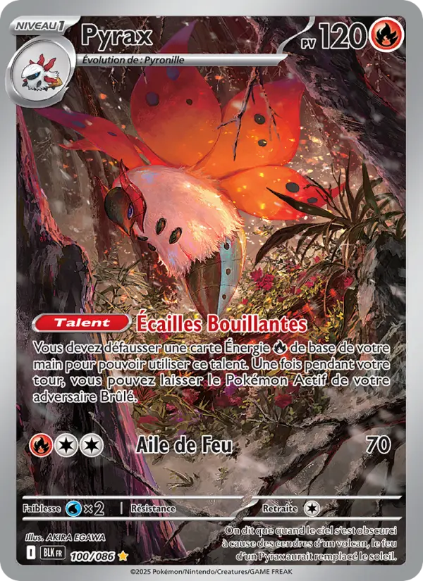 100/086 - Pyrax