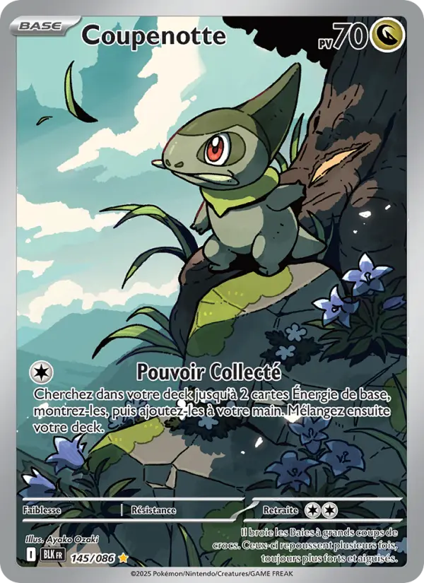 Coupenotte — Carte Pokémon 145 Foudre Noire