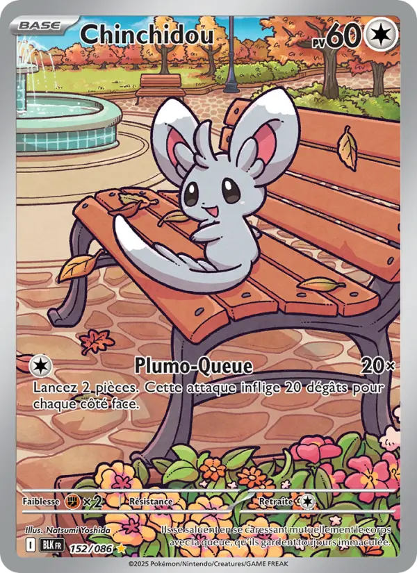 Chinchidou — Carte Pokémon 152 Foudre Noire