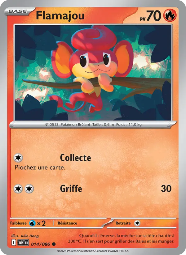Flamajou — Carte Pokémon 014 Flamme Blanche