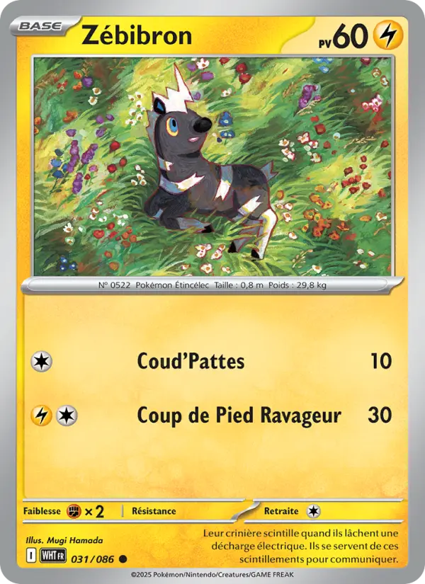 Zébibron — Carte Pokémon 031 Flamme Blanche