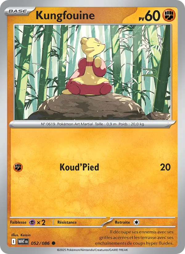 052/086 - Kungfouine