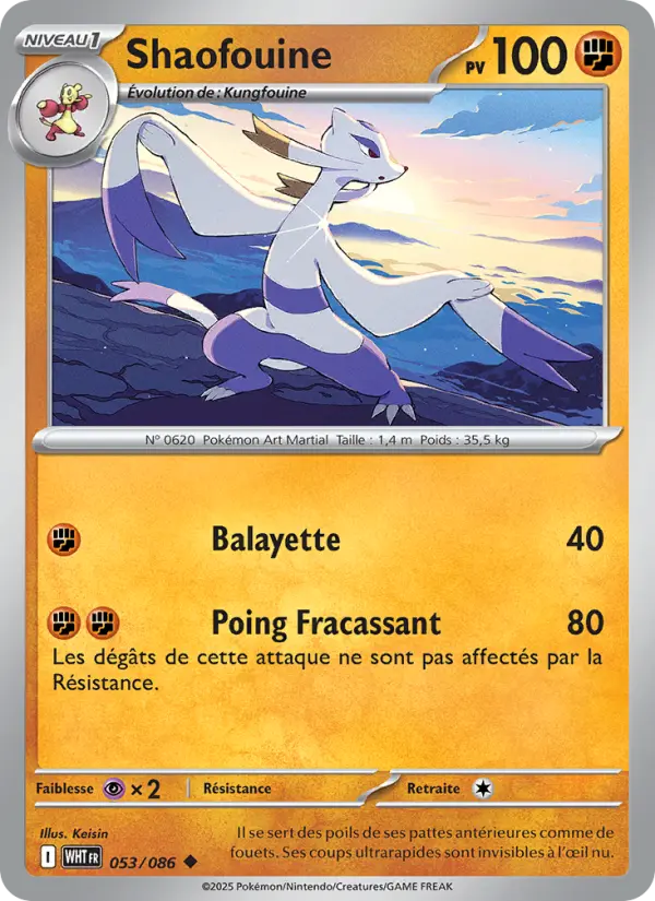 Shaofouine — Carte Pokémon 053 Flamme Blanche