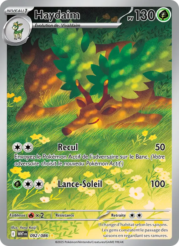 092/086 - Haydaim