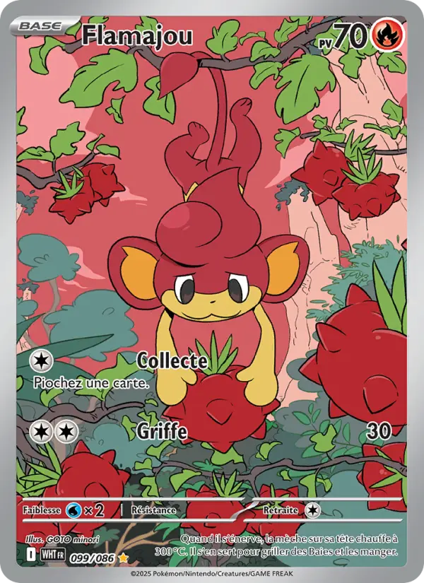 099/086 - Flamajou