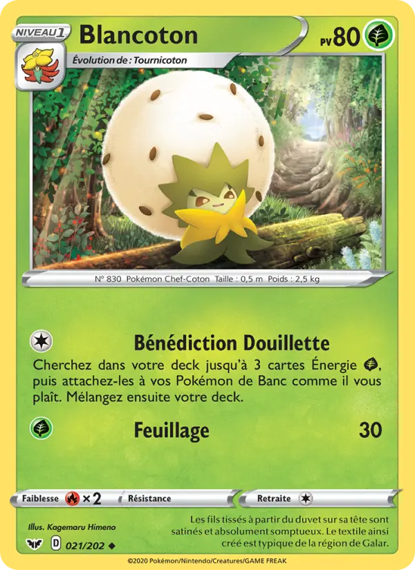 Blancoton — Carte Pokémon 21 Épée et Bouclier