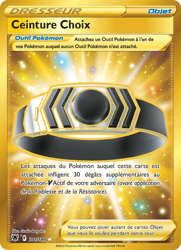 211/189 - Ceinture Choix