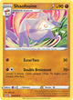 104/196 - Shaofouine