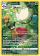 TG02/196 - Roserade