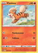 019/195 - Caninos