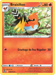 028/195 - Braisillon