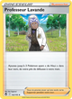162/195 - Professeur Lavande