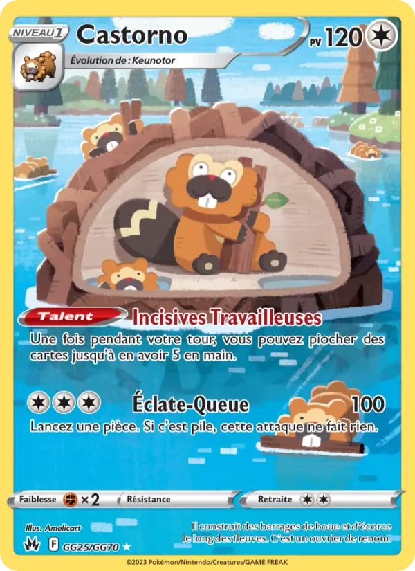 GG25/159 - Castorno