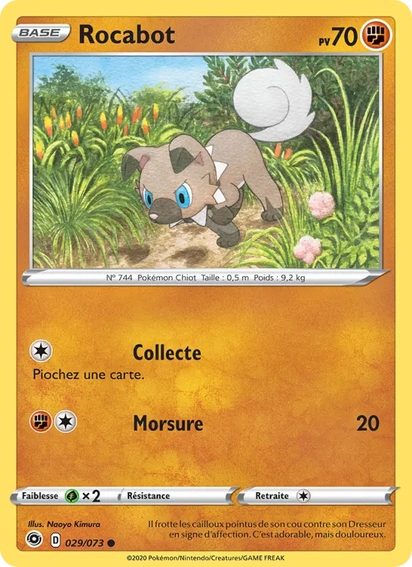 Rocabot — Carte Pokémon 29 La Voie du Maître